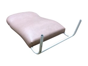 201848 ANSBACP10 05CPN Backrest 600mm 23 5in Champagne Ansa to suit Euro Day Chair